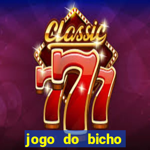 jogo do bicho tipos de apostas